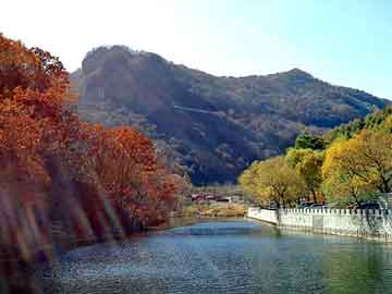 新澳天天开奖资料大全旅游团，董卿的简历